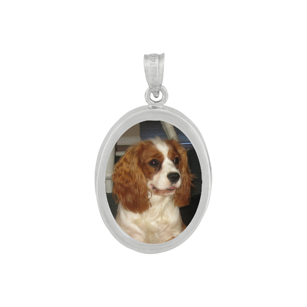 Small Oval Classic Pendant - Sterling Silver