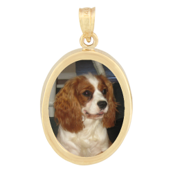 Oval Classic Pendant