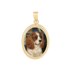 Small Oval Classic Pendant